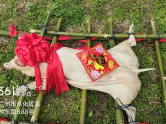 -亲子百果农庄