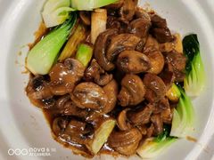 -野马国际·大汉食府