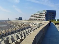 -南汇嘴观海公园