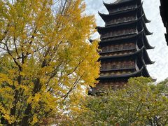-常熟方塔园