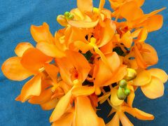 -止观小馆·辽河口渔家菜(王府井店)