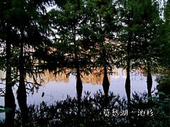 -莫愁湖公园