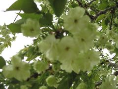 -武汉大学校门牌坊