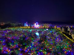 -北纬44度·金珠花海休闲农业旅游景区