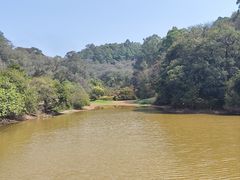 -南国桃园旅游度假区