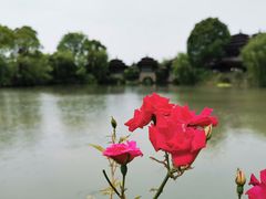 -韩湘水博园