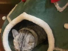 -H立方实景剧情密室(天河旗舰店)