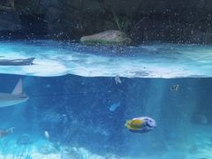 -沈阳海洋探索中心