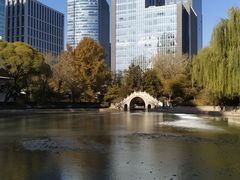 -团结湖公园