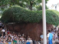 -海合安成都极地海洋公园