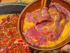 -阳阳老火锅(小南门店)