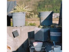 -YLK云南小粒咖啡·云里咖(二号店)