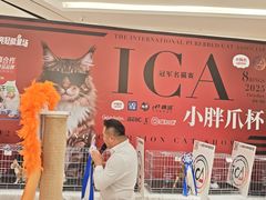 -金茂览秀城