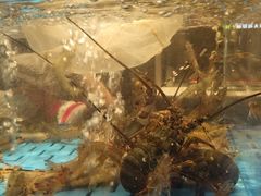 -海底捞火锅(金光华店)