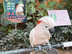 -南宫五洲植物乐园