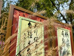 -香山公园