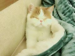-宠颐生中康贝怡动物医院