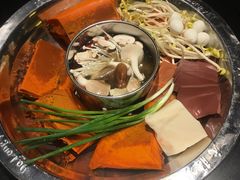 -大龙燚火锅(万象城店)
