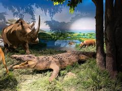 -国家自然博物馆