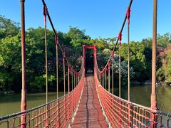 -上海吴淞炮台湾国家湿地公园