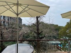 -逸廊大堂吧-下午茶·简餐-千岛湖自由洲际殿