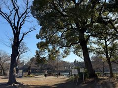 -井之头恩赐公园