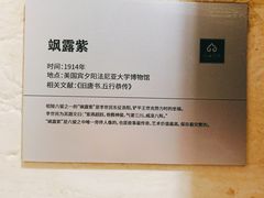 -长安壹号