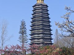 -红梅公园