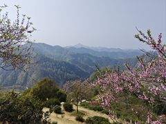 -石潭村