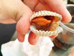 -铭聚章鱼土笋冻(松柏店)