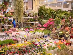-双季花艺园艺市场(浦东店)