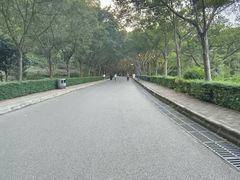-滴水岩森林公园