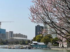 -美兰湖景区