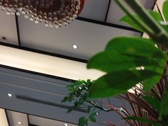 -眉州东坡(北苑华贸店)