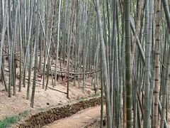 -南北湖风景区