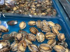 小鲍鱼-盒马鲜生(皇庭广场店)