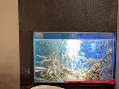 -徐记海鲜(曲江南湖店)