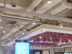 -小桃红·东北菜·春饼烤鸭(南阳湖街店)