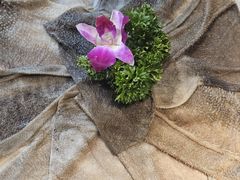 -大妙火锅·非物质文化遗产(东湖公园店)