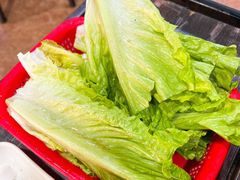 -东山羊庄(八卦岭店)