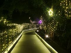 -宝莱纳啤酒花园餐厅PAULANER BRAUHAUS Nanjing(广州路店)