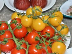 -铭门盛宴·艺术海鲜姿造(福田黑金店)