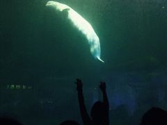 中影国际影城九江市八里湖新区九方店-中影国际影城(九江花园城CINITY LED店)