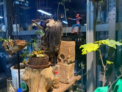 -周忆刺青原创设计定制