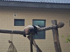 -石家庄市动物园