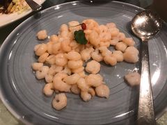 水晶河虾仁-和平饭店·龙凤厅 Dragon Phoenix