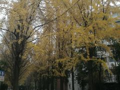 -西南交通大学(九里校区)