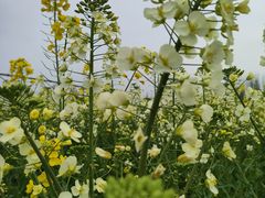 -中国天府农业博览园