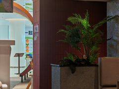 -芸山季·云南野生菌火锅(宝能环球汇店)