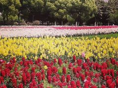 -映月湖中央公园